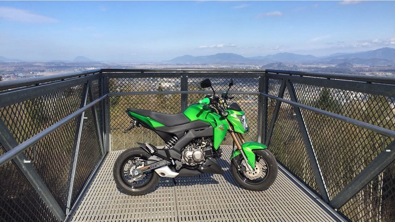 2017 Kawasaki Z125 Pro