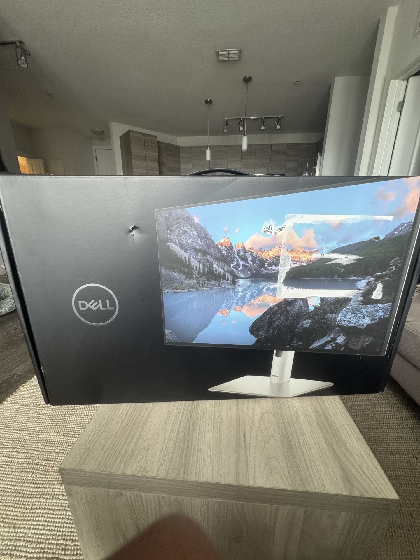 Brand new Dell monitor