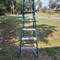 Davidson 8' Fiberglass Step Ladder