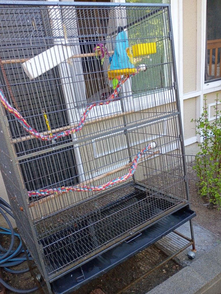 2 Big Bird Cages