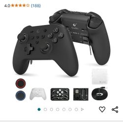 Control For Nintendo Switch 