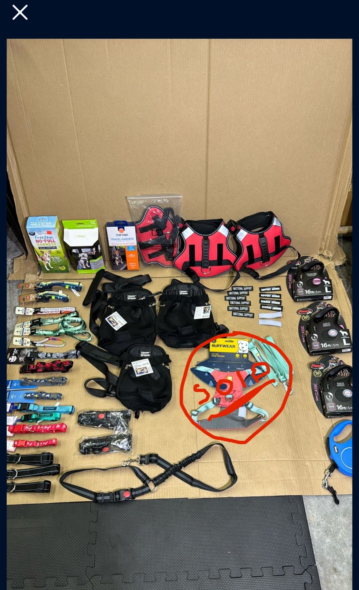 Dog Collars, Leashes & Harnesses