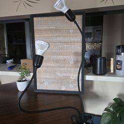 Grow Light With Clip