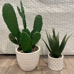 Faux Plants & Cactus