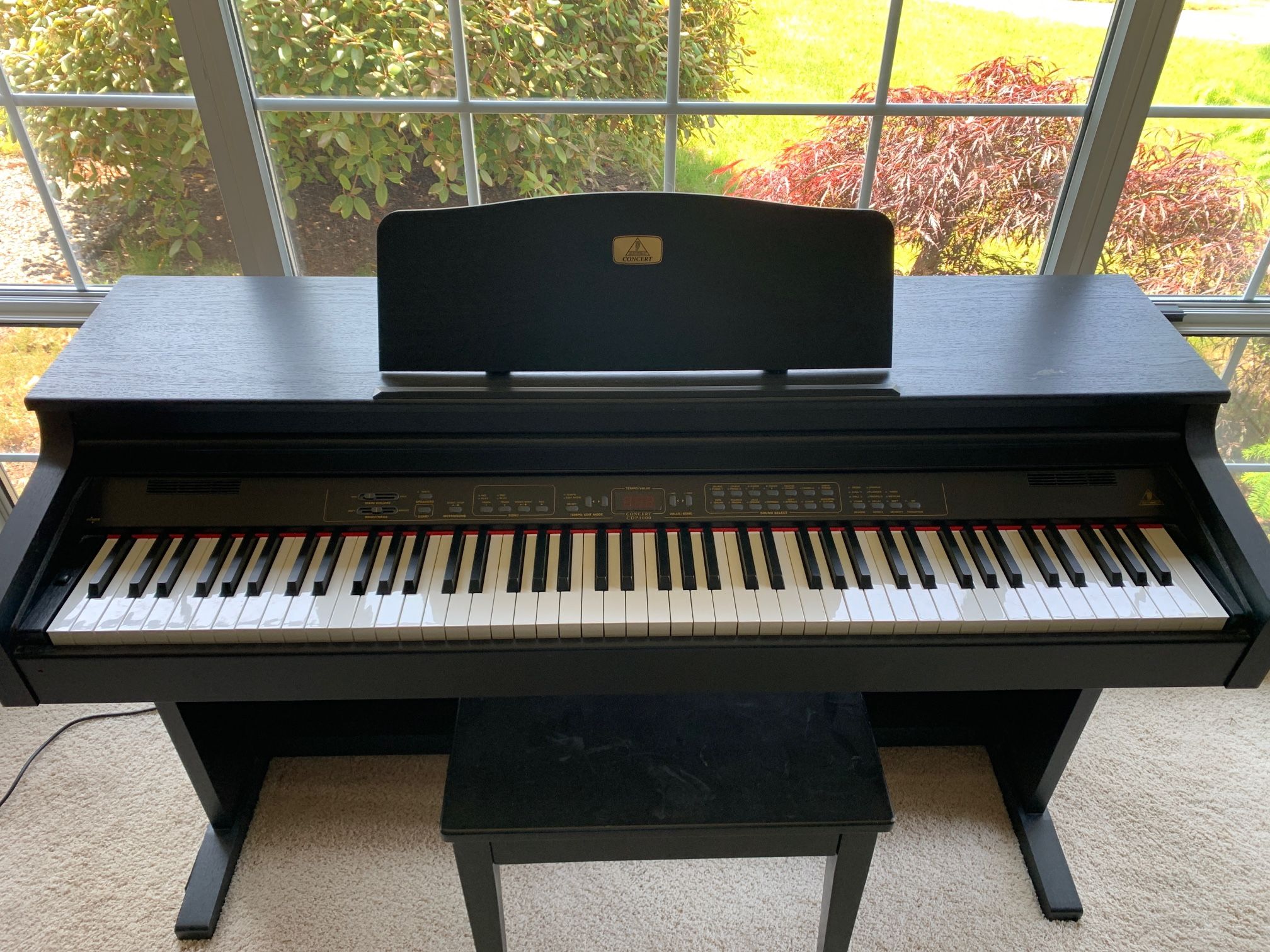 Behringer Digital Concert Piano