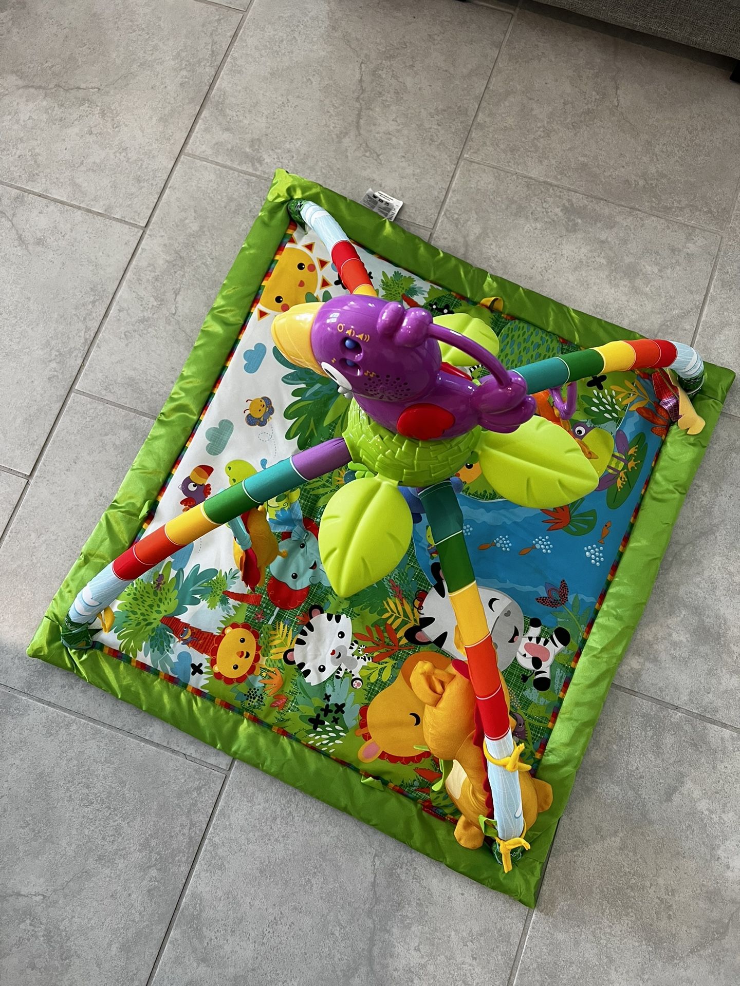 Fisher Price Gym Play Mat