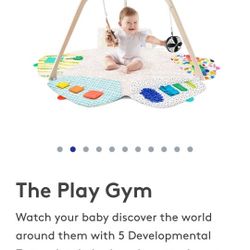 Lovevery Play Gym