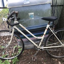 Ladies 24 Inch 10 Speed Bicycle Only $65 Firm