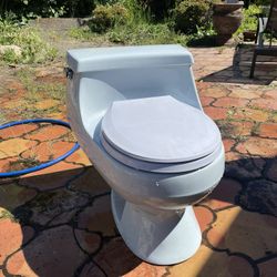 Vintage Baby Blue Koehler Toilet