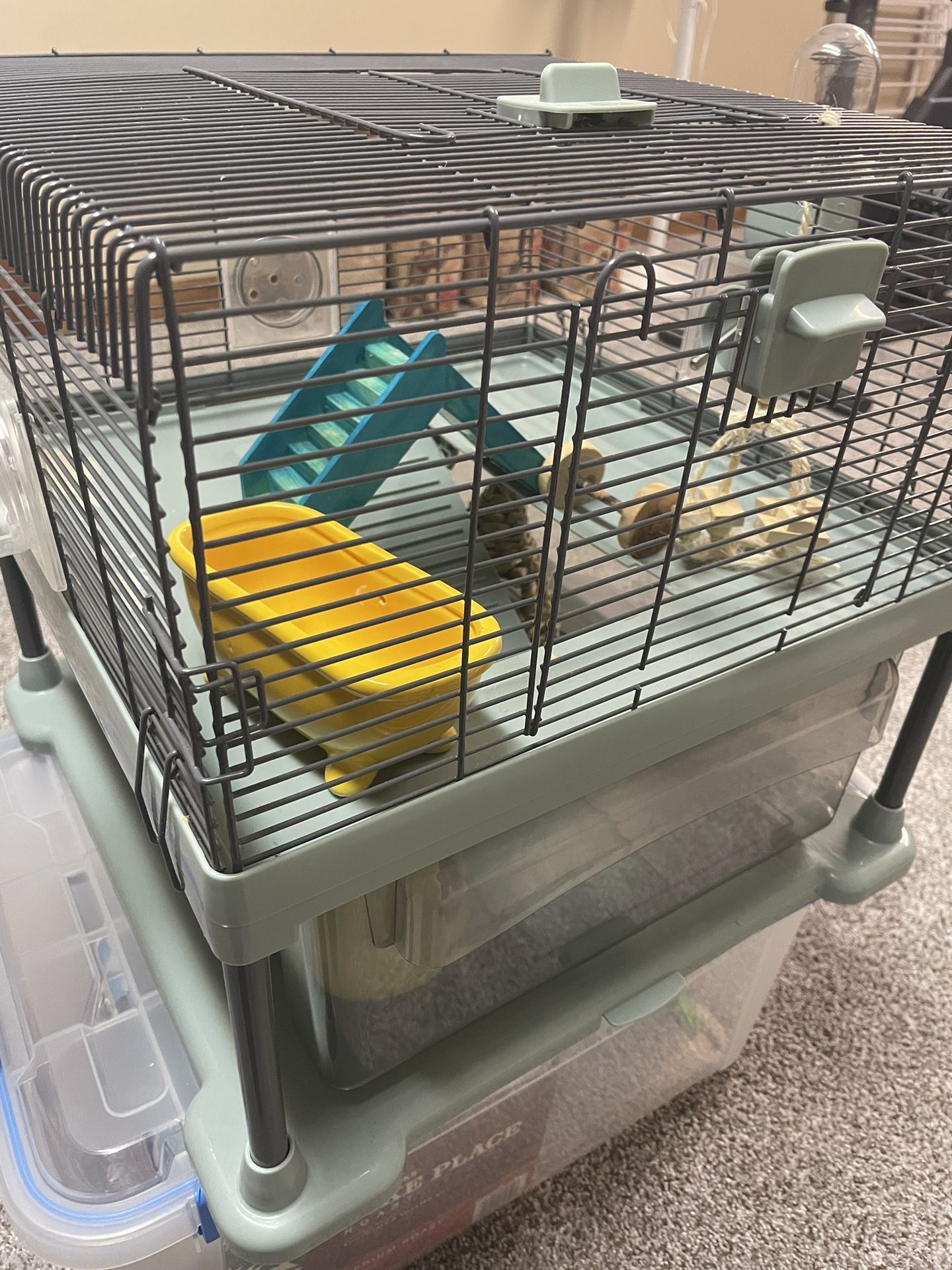 hamster house