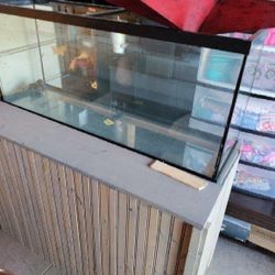 Large Fish Or Reptile Glass Enclosure 