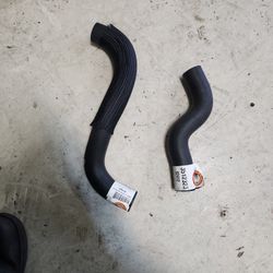 2004 Nissan Maxima Radiator Hoses