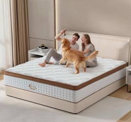 14INCH QUEEN MATTRESS