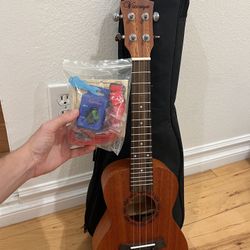 Vizcaya Ukelele