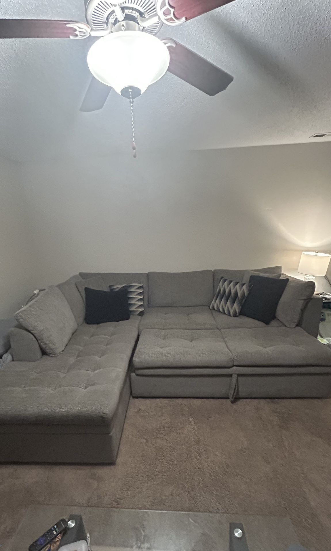 Gray Sectional Pullout couch