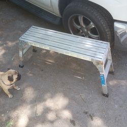 Werner 20in Work Platform 