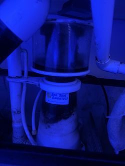 Aquarium Skimmer ES9 Sea Side Aquatics
