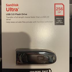 Sandisk Ultra 256gb