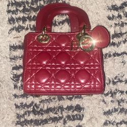 Christian Dior Purse 