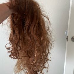 Long Wig (used For Costume)