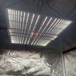 Led Grow Light / Hydroponics