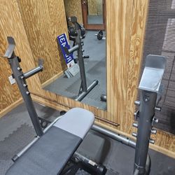 Weight Bench