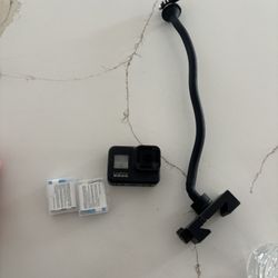 Go Pro
