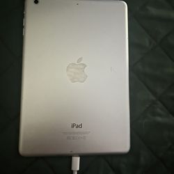 iPad 2 Mini