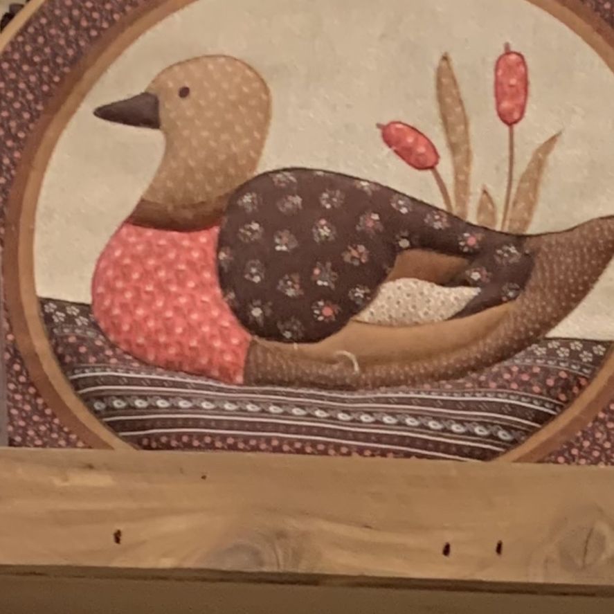 Quoted Duck Framed Wall Hanging