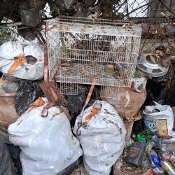 Bird Cage  GOOD  CON. 