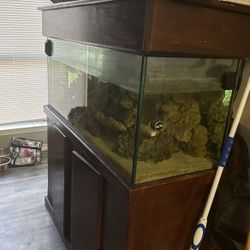 Saltwater set up nothing over two years old
