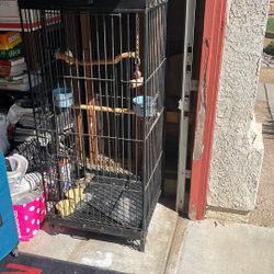 Bird Cage- Large 