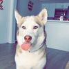 lexy