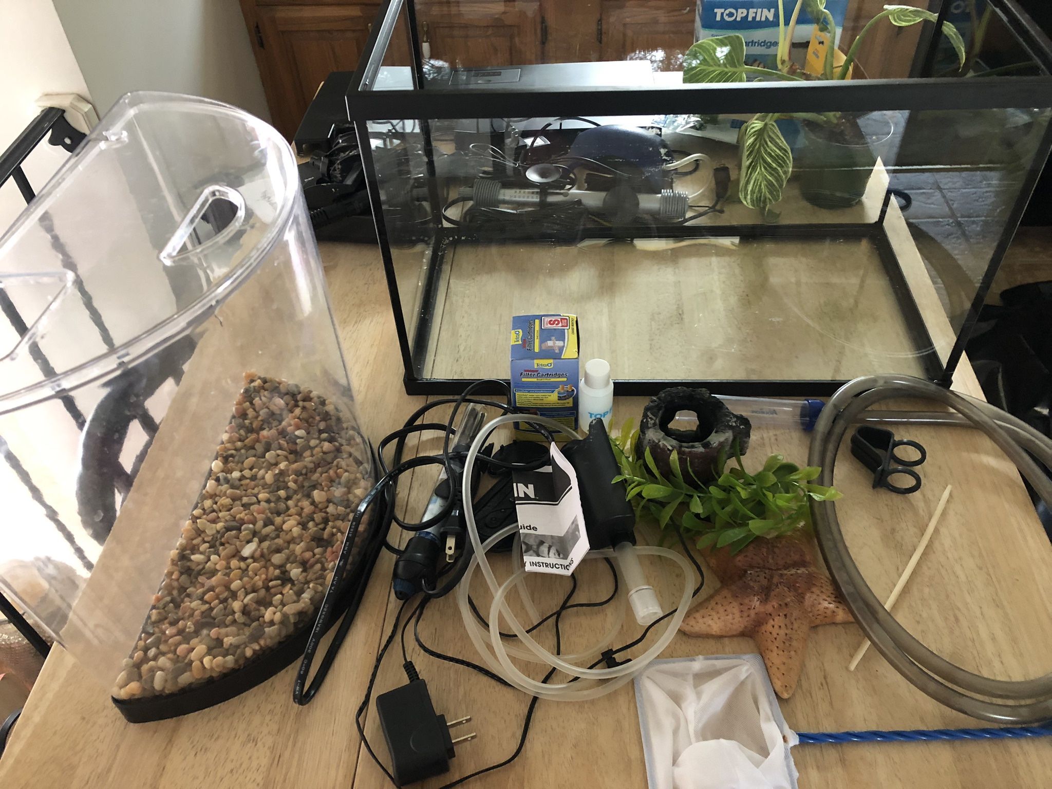 10 Gallon Aquarium