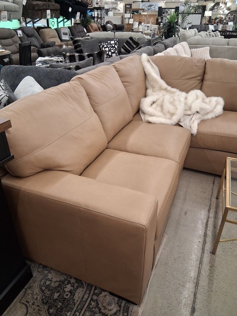 Leather 2 Piece Sectional