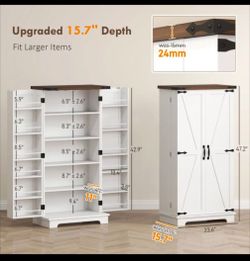 Farmhouse Shoe Storage Cabinet with Barn Doors