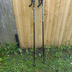 Scott 54-in Ski Poles