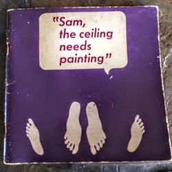 Sam The Ceiling Needs painting