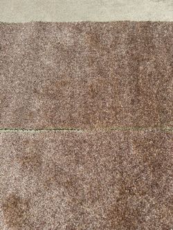 3 Shag Carpet Pieces