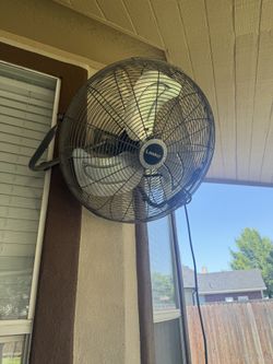 Fan