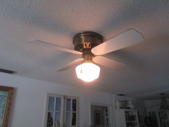 Ceiling fan with light