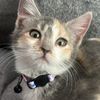 Amy