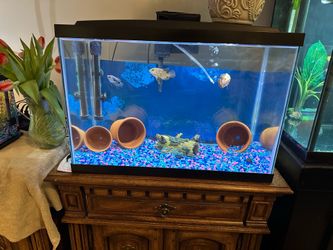Fish Tank. 20 Gallon  Fish not included