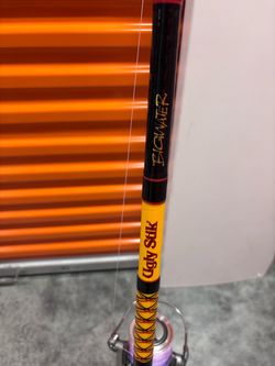 Ugly stik rod combo