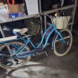 Adult Blue Cruiser Bike
