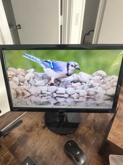 Asus Monitor with Power Cord