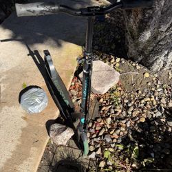 LaScoota Folding Scooter