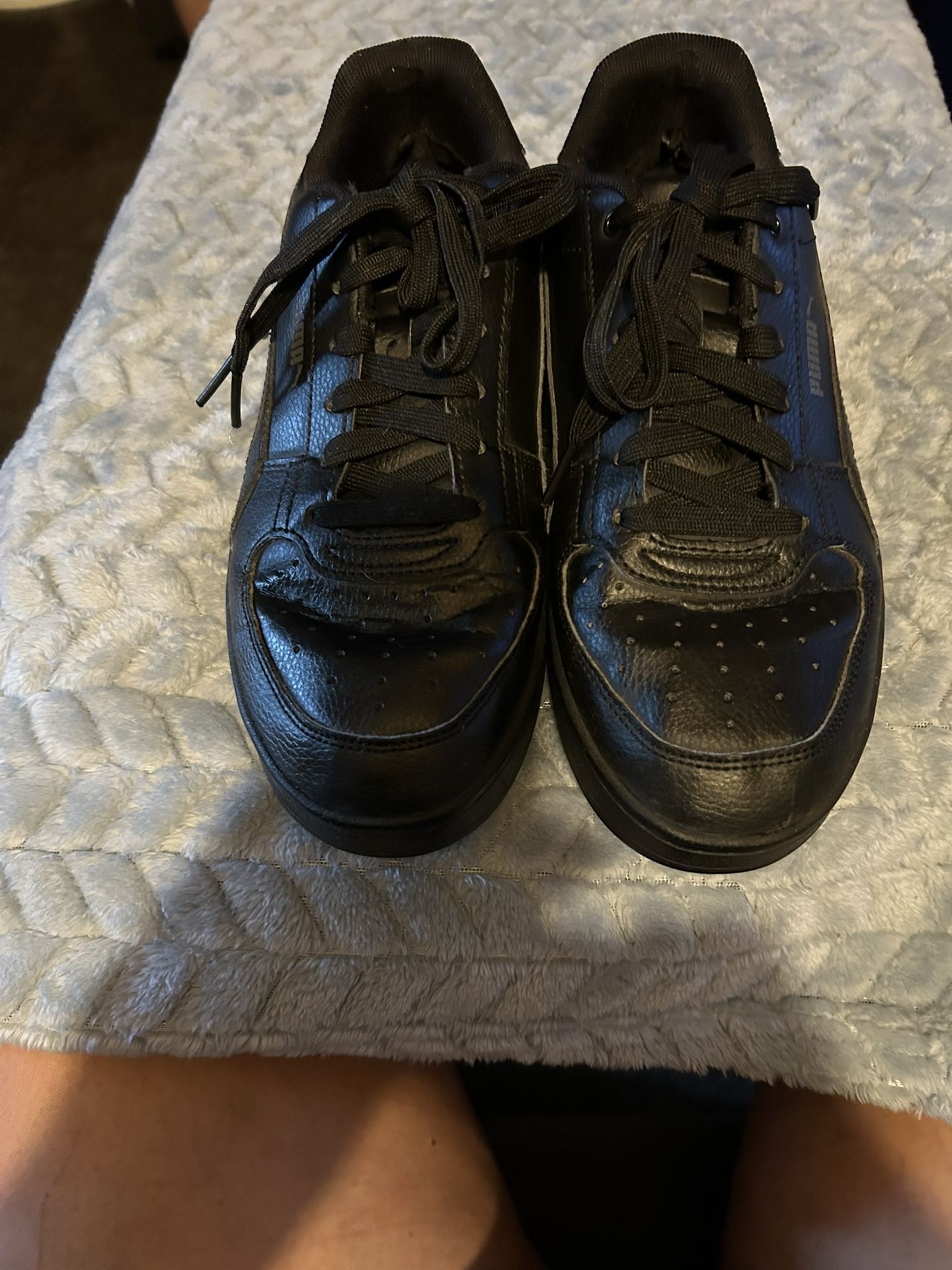 Pumas 