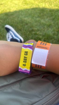 Lollapalooza Sunday band
