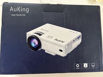 Outdoor indoor projector